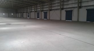 45000 Sq.ft Industrial Shed for lease in Chhatral